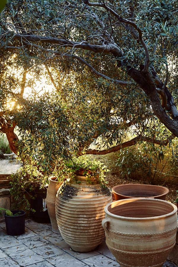 Nikolaou Art Residence Aegina Bagian luar foto