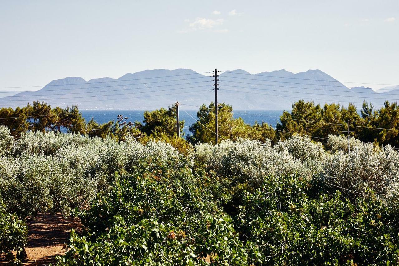 Nikolaou Art Residence Aegina Bagian luar foto